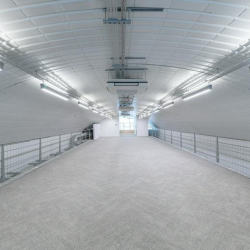 Interior of 25, Wootton Street