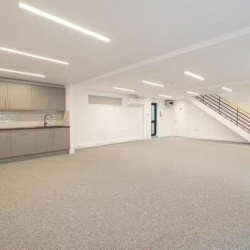 Executive office centres in central London