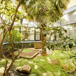 Paris serviced office