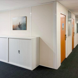Executive offices to lease in Grenoble