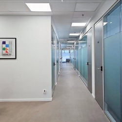 Executive office in Bucharest