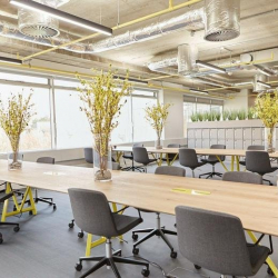 Offices at 3 Shortlands
