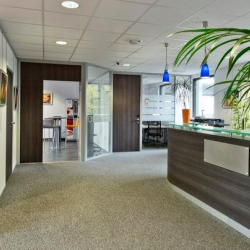 Executive office centres to hire in Vienne
