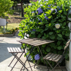 Office suites to rent in Vila Nova de Gaia