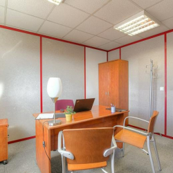 Office suites to rent in Lyon