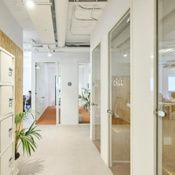 339, Carrer de Provença serviced offices