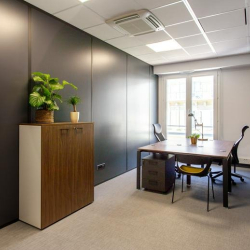 Executive offices to lease in Nice
