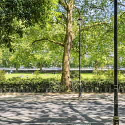 Executive office - London