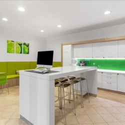 Executive suite to lease in Kiev