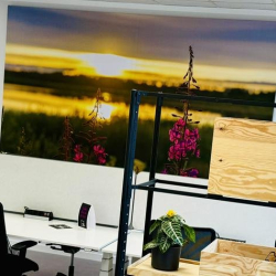 40, Gröbenzeller Straße