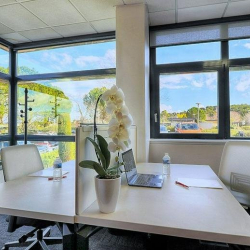 Image of Sophia Antipolis serviced office