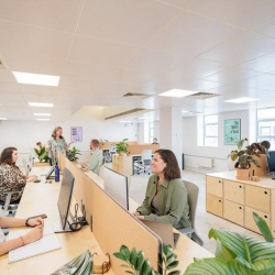 Serviced office - Twickenham