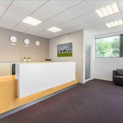 Serviced office centres to lease in Mougins