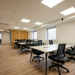 Executive offices to hire in Lyon