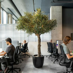 Serviced offices to rent in 