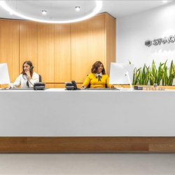 Executive office centres in central Paris