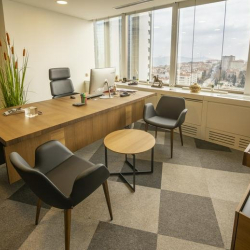 Image of Istanbul executive suite