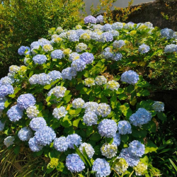 575, Rua de Costa Cabral serviced offices