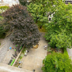 Serviced offices to rent in 