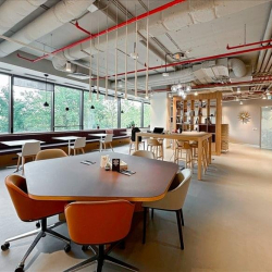 Executive office to let in Bucharest
