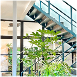 Serviced office centre to lease in London