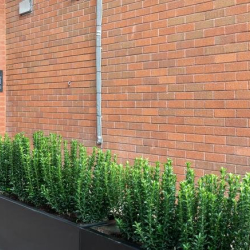 Executive office centres in central London