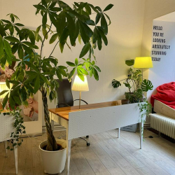 Image of Berlin serviced office