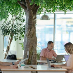 Serviced office to rent in Bucharest