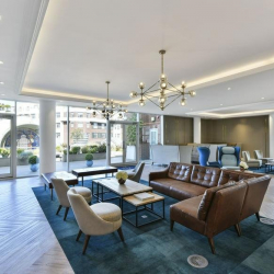 Executive suites in central London