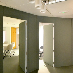 Executive suites to rent in Madrid