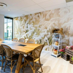 Executive office centres to rent in Lille