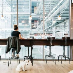 Office accomodations in central Paris