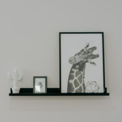 Executive suites to let in Porto