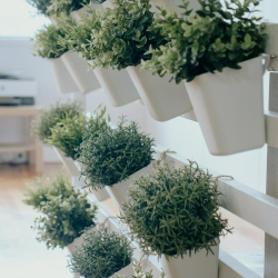 Serviced offices to rent in 