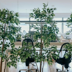 Serviced offices to rent in 