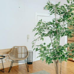 Serviced offices to rent in 