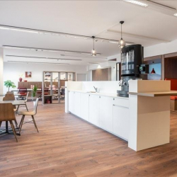 Executive office centres to hire in Leudelange