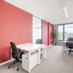 Executive suites in central Leudelange