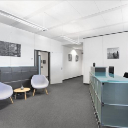 Altrottstrasse 31 executive office centres