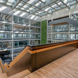 Office suites in central Hamburg