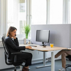 Office accomodation in Vienna