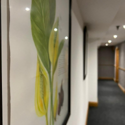 Office accomodation to rent in Manchester