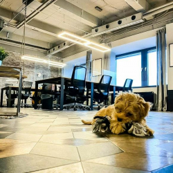Image of Leipzig serviced office