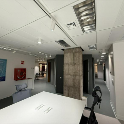 Serviced office - Madrid