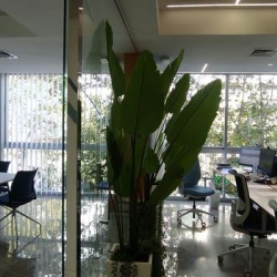 Córdoba office space