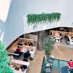 Office accomodation to lease in Lisbon