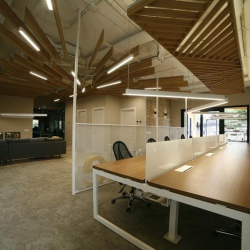 Marbella serviced office