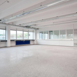 Office space in Frickenhausen