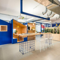 Executive suite to hire in Heidelberg