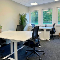 Executive suites to rent in Stockholm